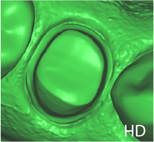 high-resolution-scan-1